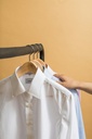 Oxford Point Collar Shirt